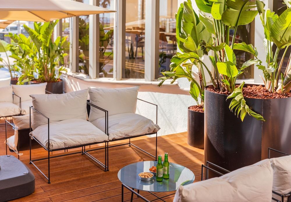 undefined Brown Brut Seafront Hotel 8