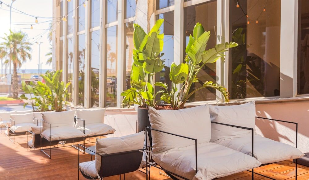 undefined Brown Brut Seafront Hotel 6