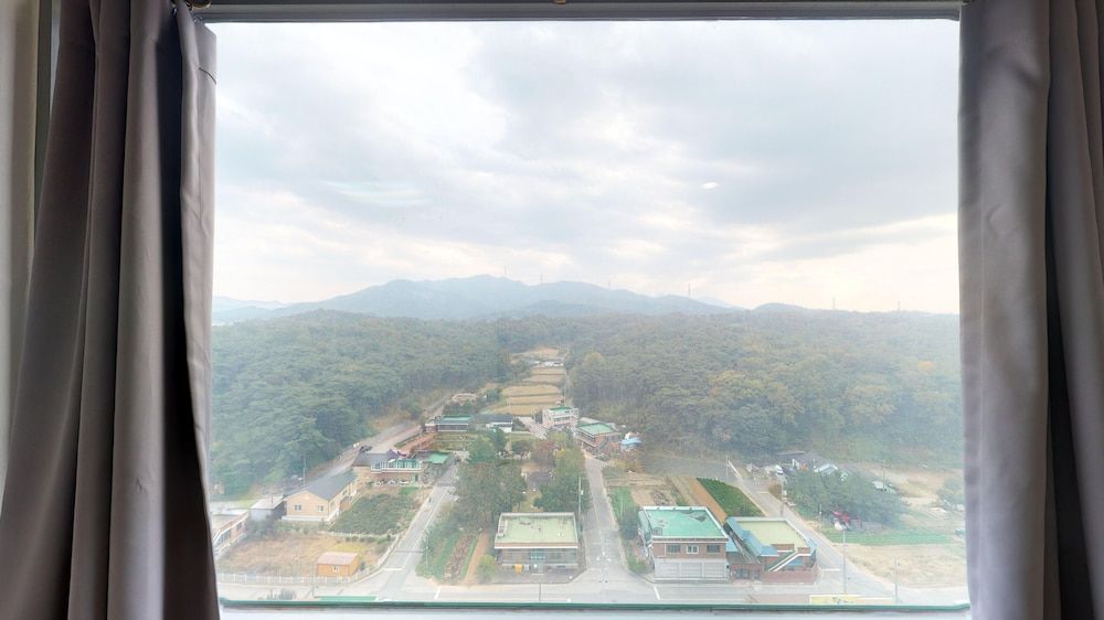 The Witt DOGO DOGO 20 Ondol 7