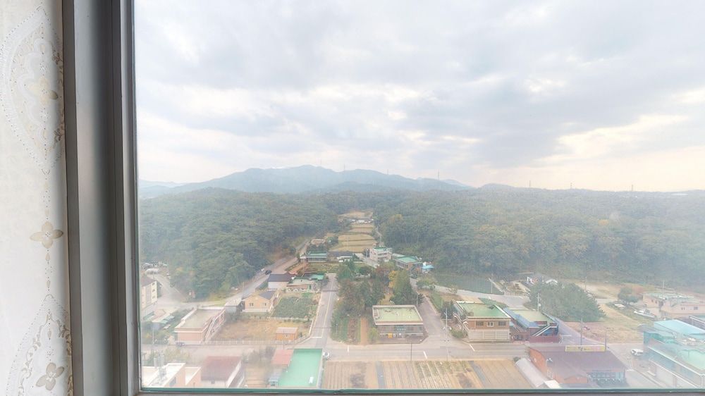 The Witt DOGO DOGO 30 Family 6