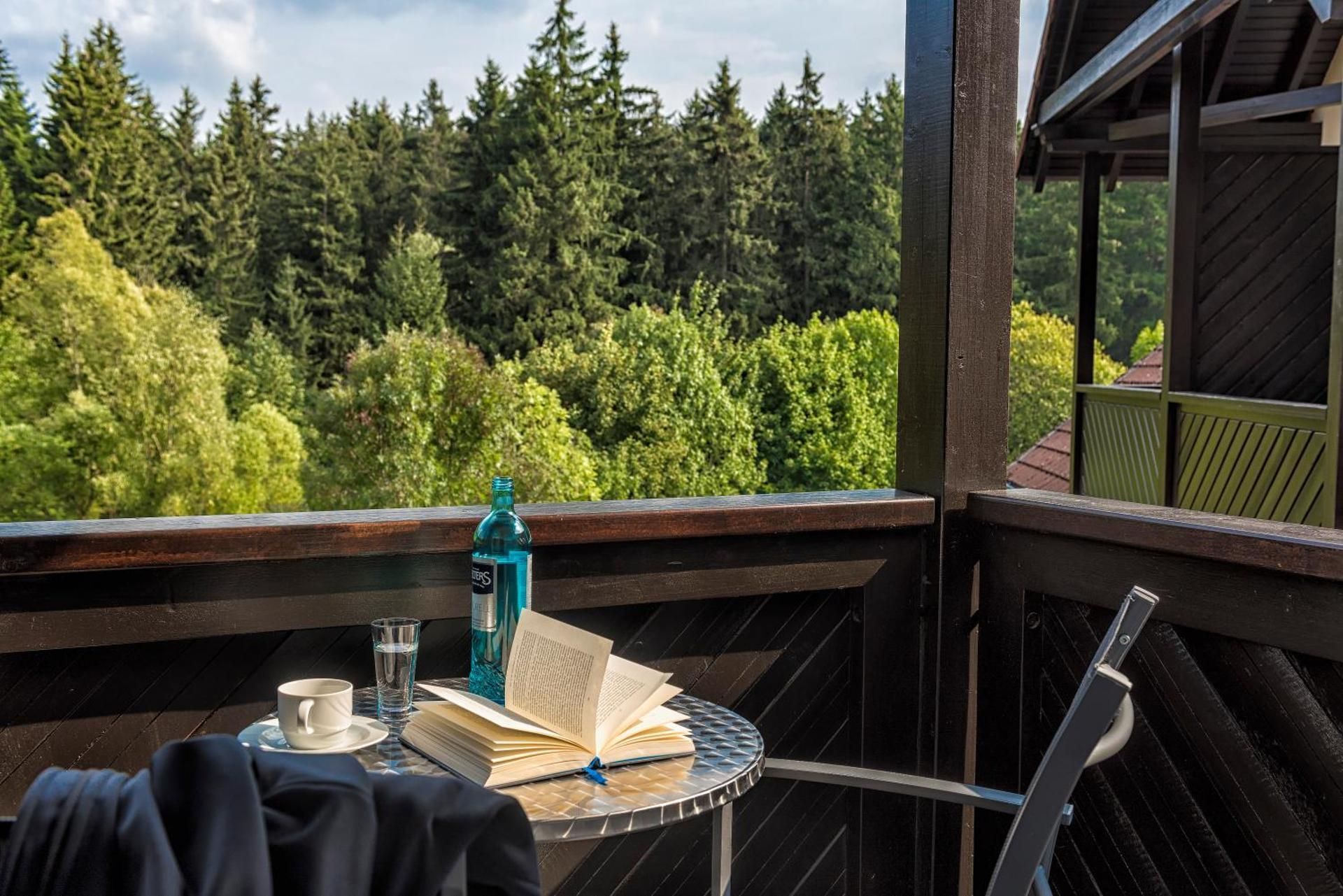 Relexa Hotel Harz Wald Economy Double Room 2