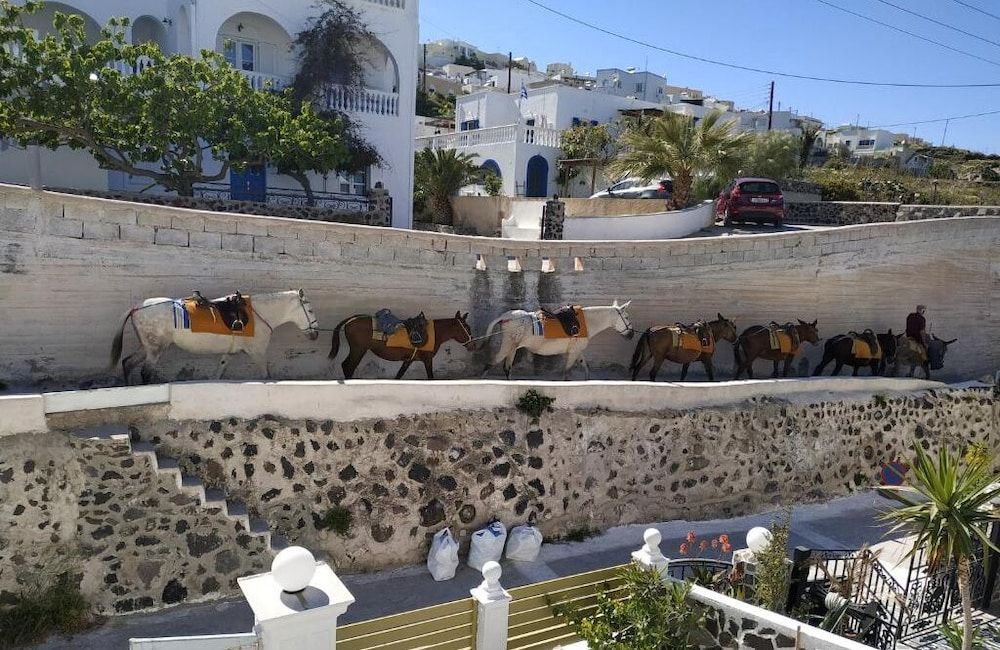 undefined Sunny Days 3