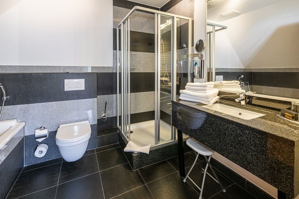 Gasthaus Goldener Hirsch Basic Apartment, 1 Queen Bed 3