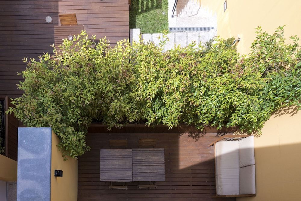 undefined Bloom House by Sweet Porto 6