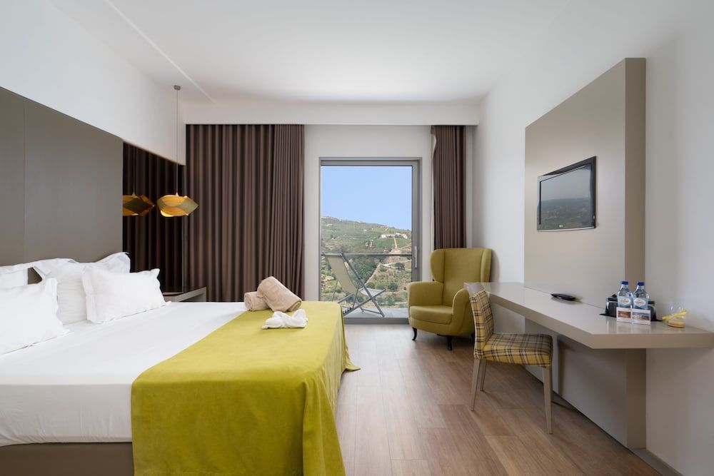 Delfim Douro Hotel Double or Twin Room, 1 Double or 2 Twin Beds, River View 6