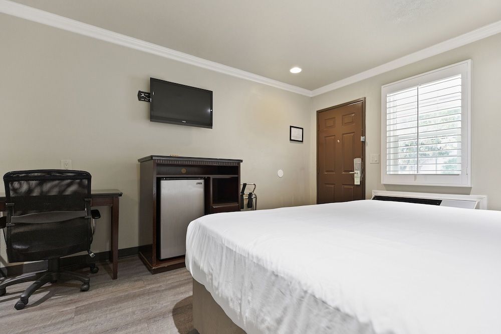 Basic Single Room