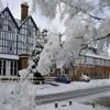 Forest Park Country Hotel & Inn, Brockenhurst, New Forest