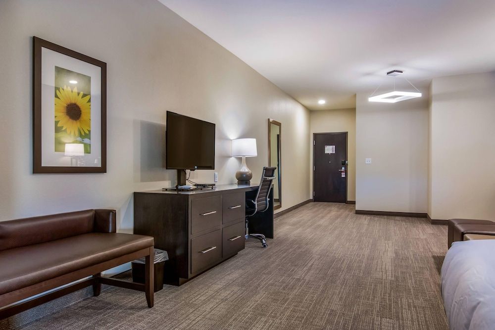 Suite, 1 King Bed with Sofa bed, Accessible, Non Smoking