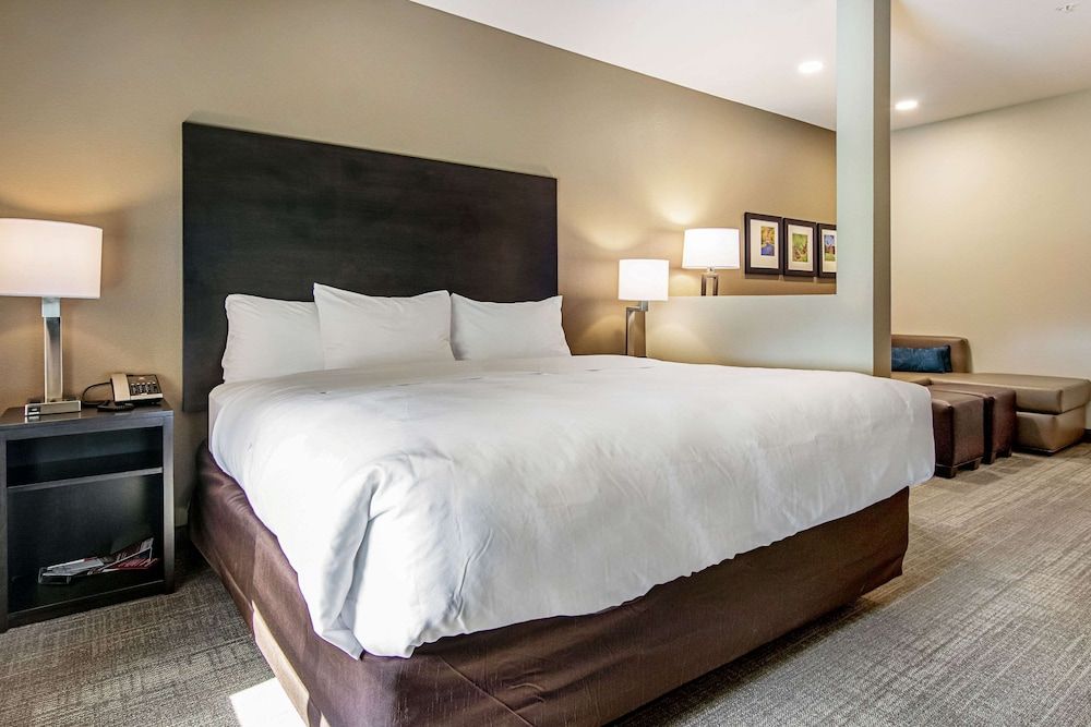 Suite, 1 King Bed with Sofa bed, Accessible, Non Smoking