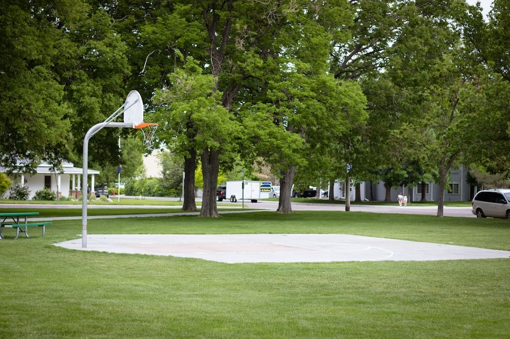 Basketball Court