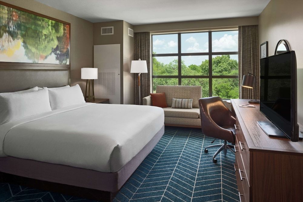 Room, 1 King Bed