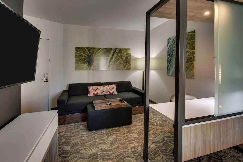 Suite, 1 King Bed with Sofa bed, Non Smoking (Mobility/Hearing Access, Roll-in Shwr)