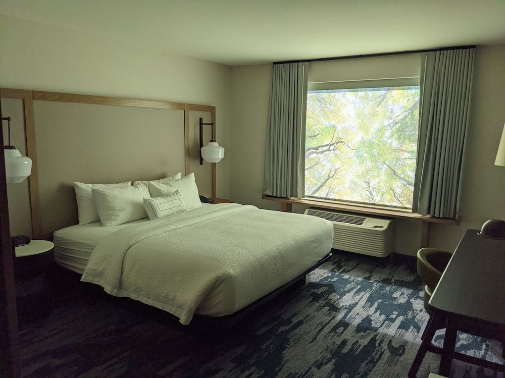 Suite, 1 King Bed with Sofa bed