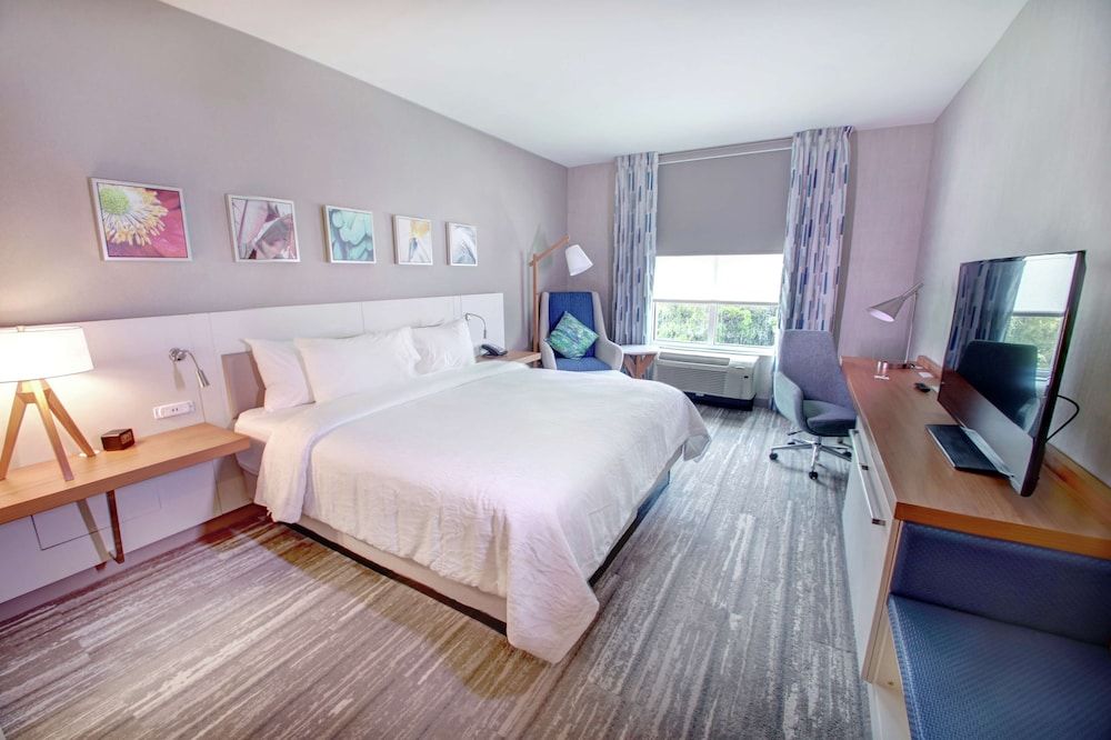 Room, 1 King Bed
