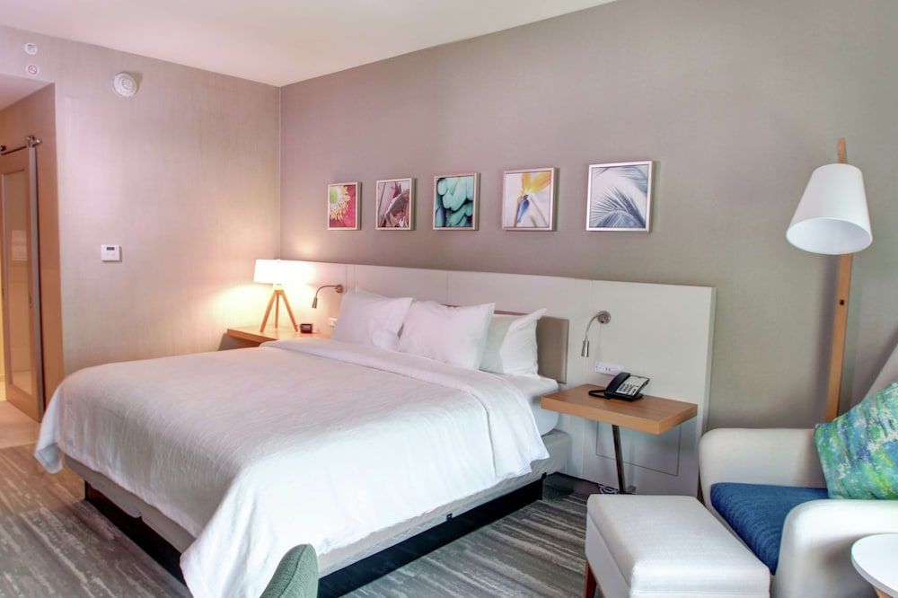 Room, 1 King Bed