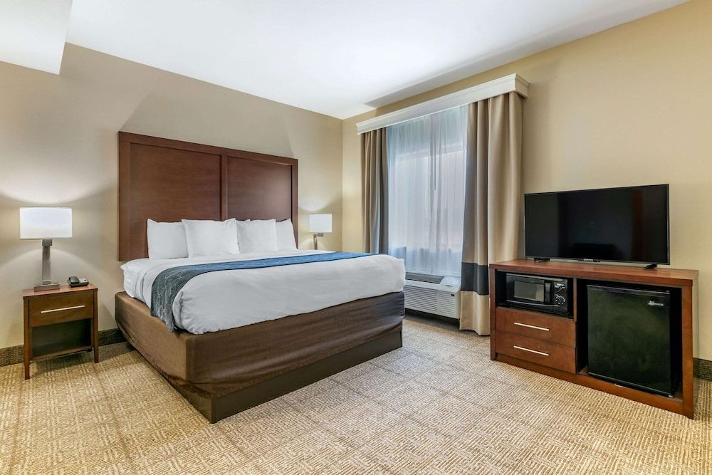 Suite, 1 King Bed with Sofa bed, Non Smoking