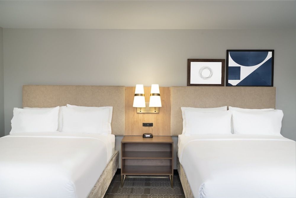 Studio Suite, Multiple Beds, Kitchen