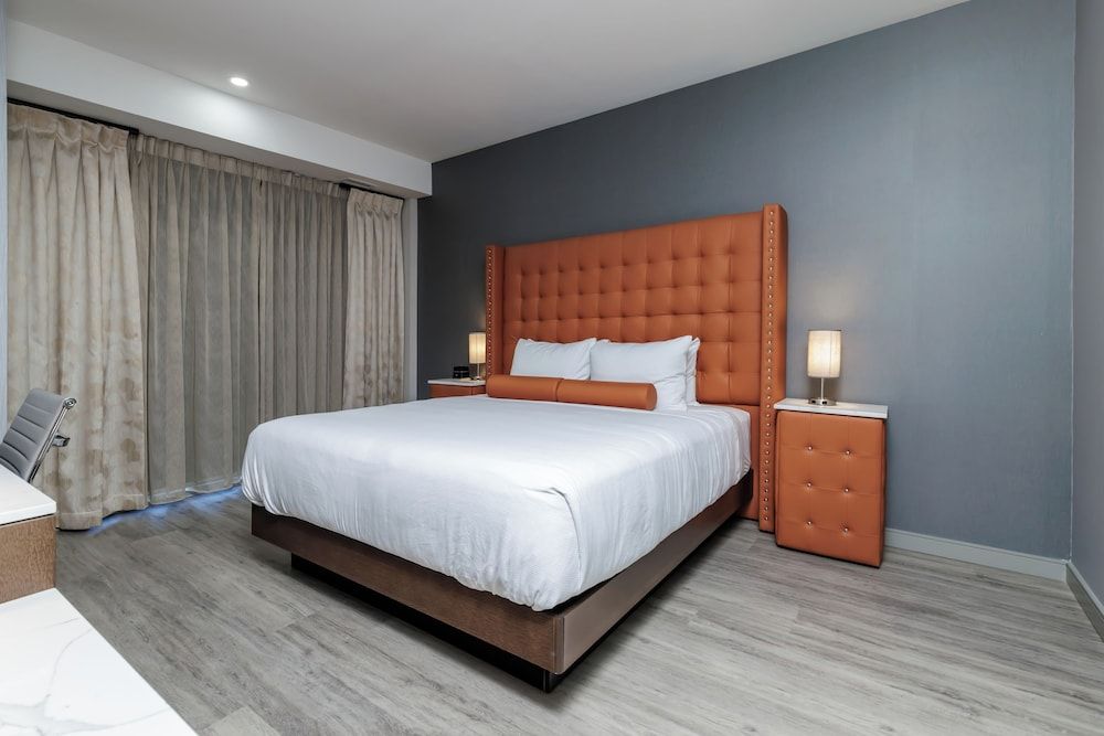 Room, 1 King Bed with Sofa bed (Suite)
