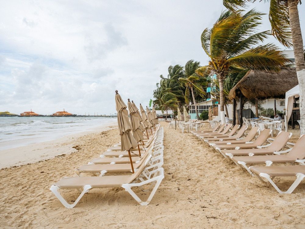 undefined Capital O Mimi Del Mar, Playa del Carmen 9