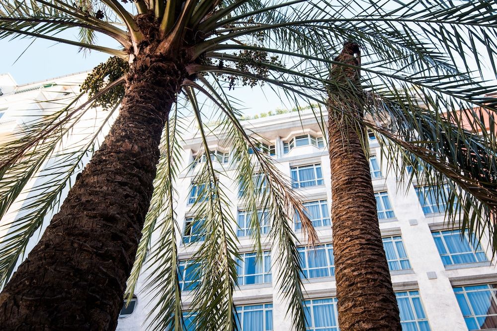 undefined VP Madroño 3