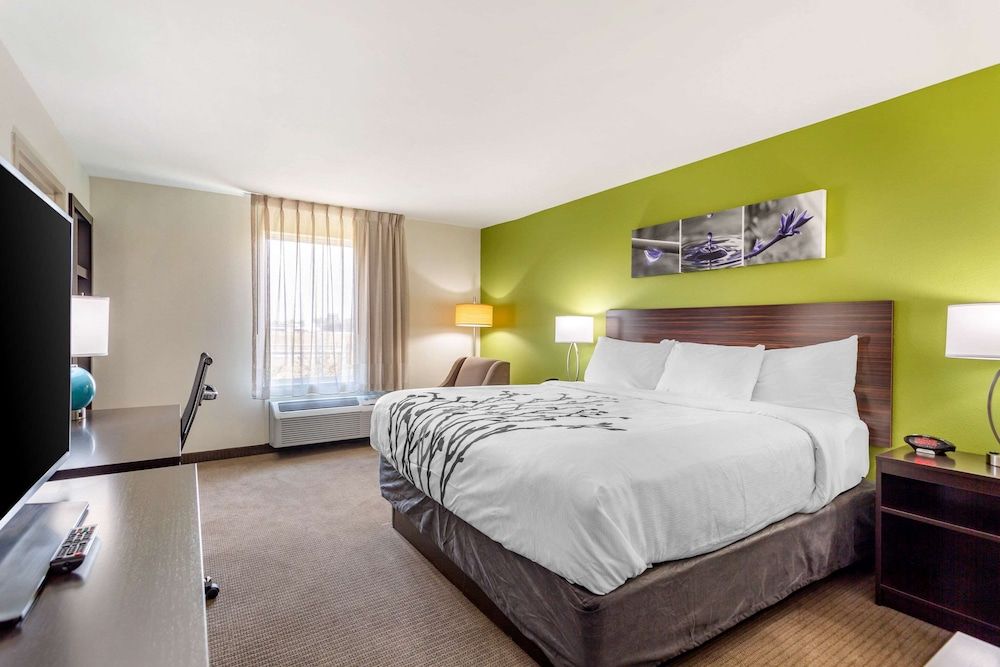 Standard Room, 1 King Bed, Non Smoking