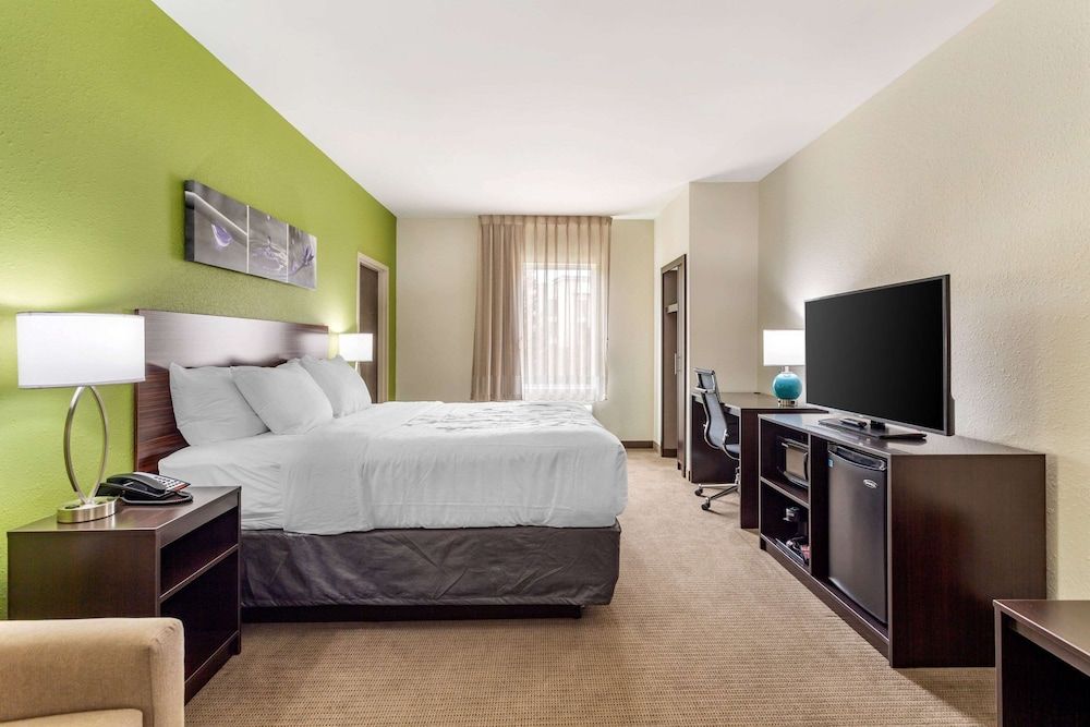 Suite, 1 King Bed with Sofa bed, Accessible, Non Smoking