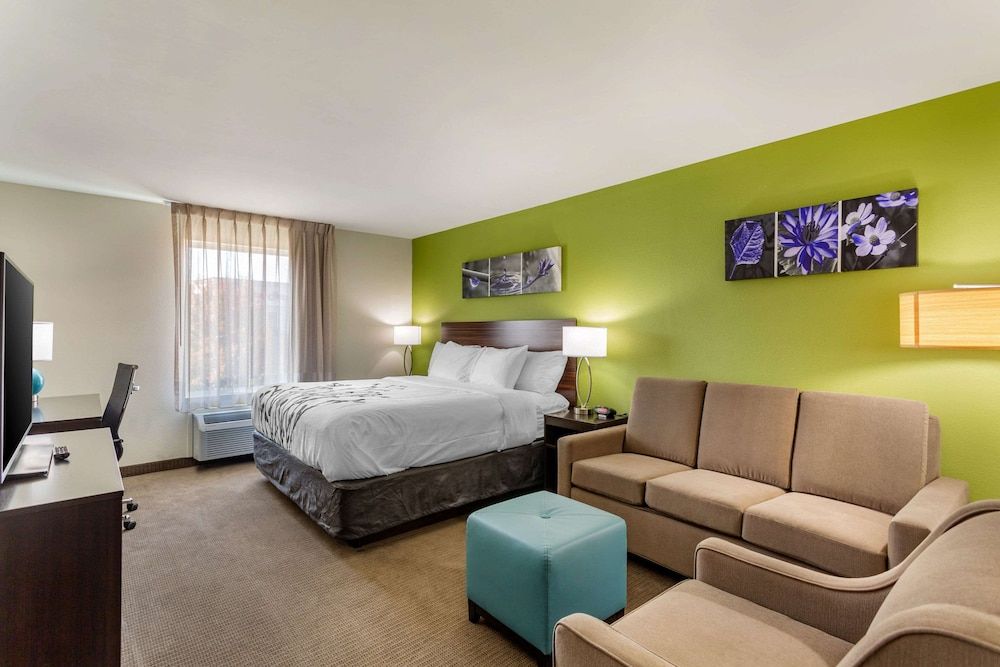Suite, 1 King Bed with Sofa bed, Non Smoking