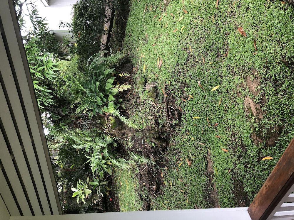 Five Princes Hotel Garden View Bure 10