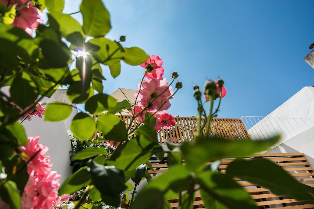 Sodium Hotel Boutique Double Room 47