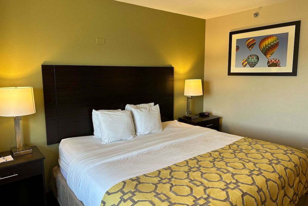 Room, 1 King Bed, Accessible, Non Smoking (Roll-In Shower)
