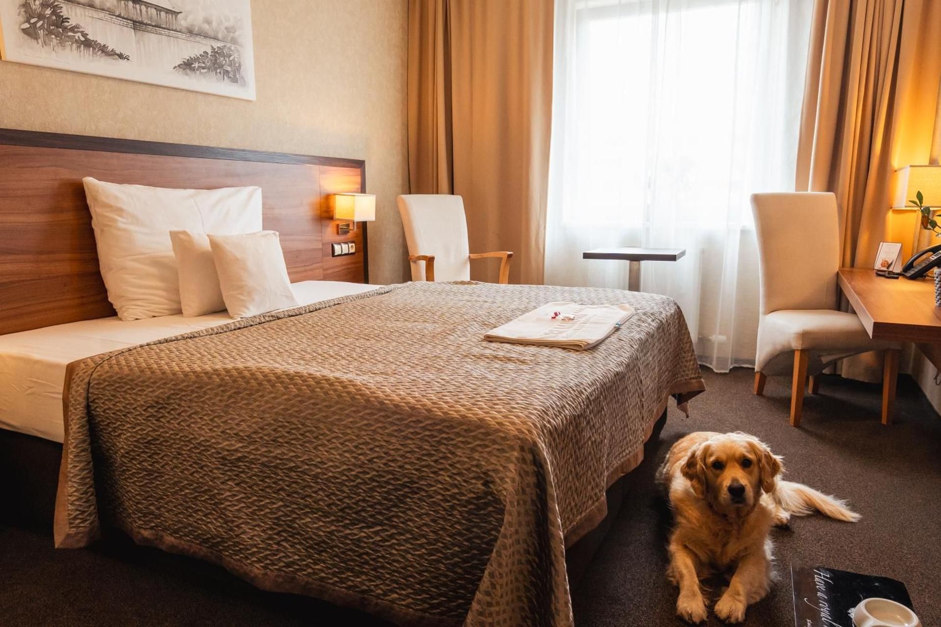 Double Room Single Use
