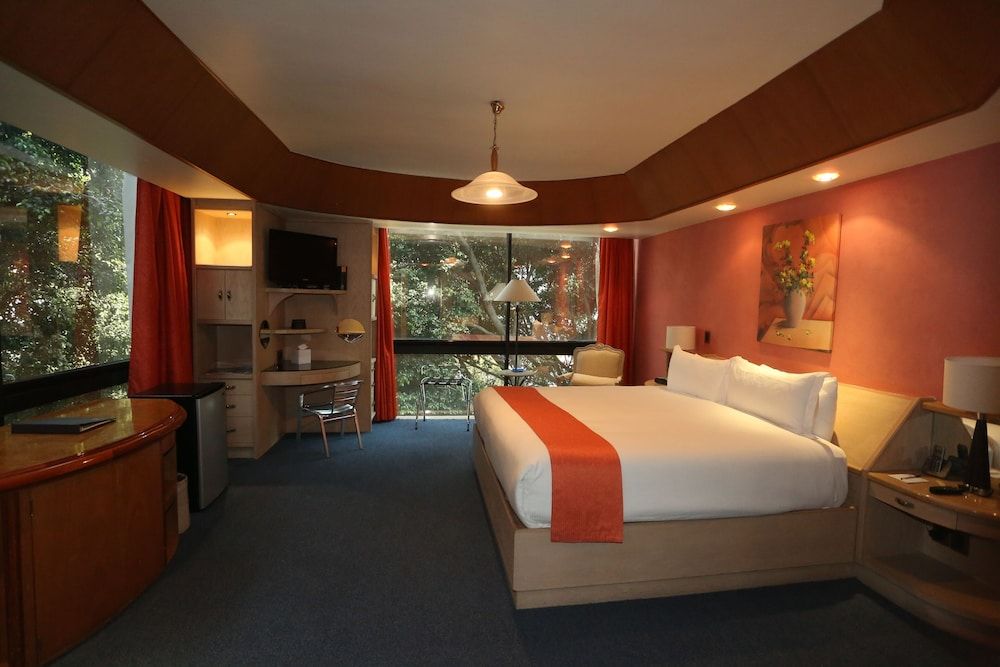 Hotel Park Nilo Reforma Junior Suite, 1 King Bed 3