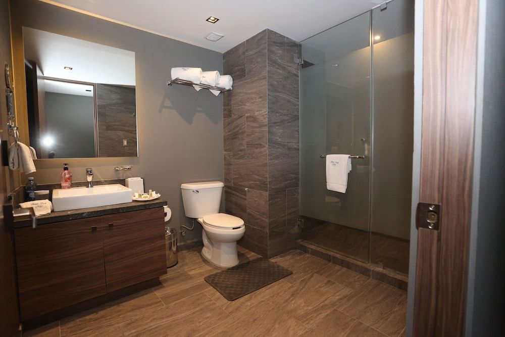 Hotel Park Nilo Reforma Junior Suite, 1 King Bed 4