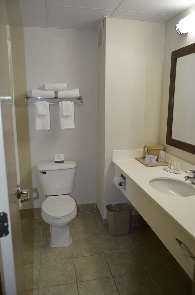 Quality Inn Standard Room, 1 King Bed, Non Smoking 8