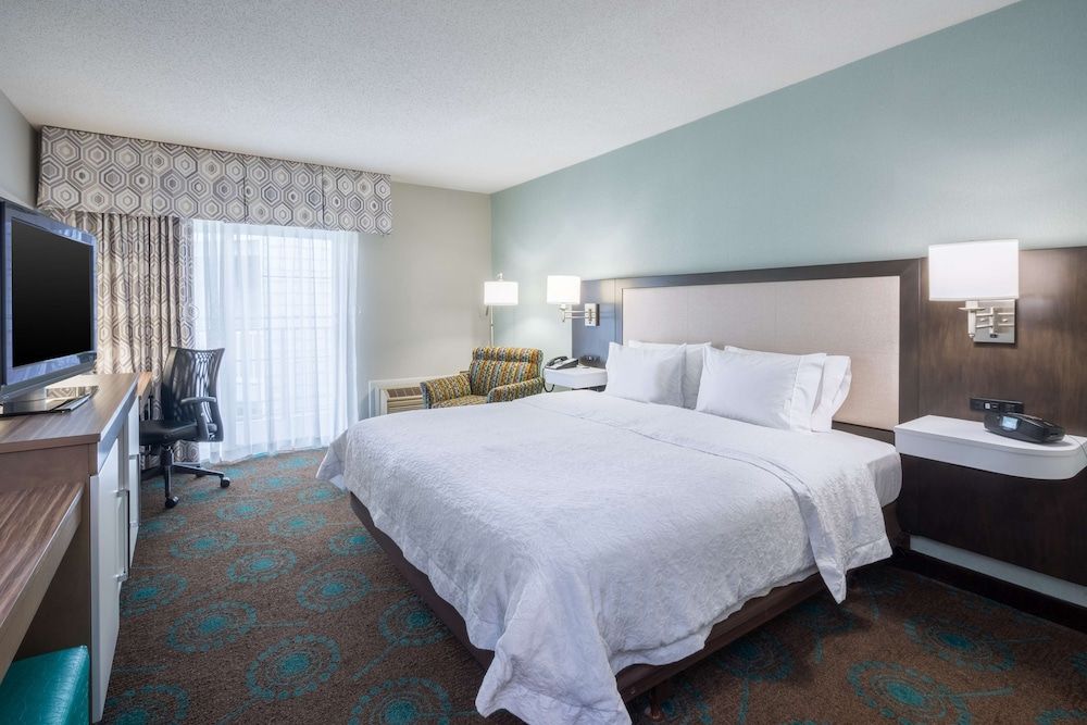 Room, 1 King Bed, Accessible, Bathtub (Mobility & Hearing)