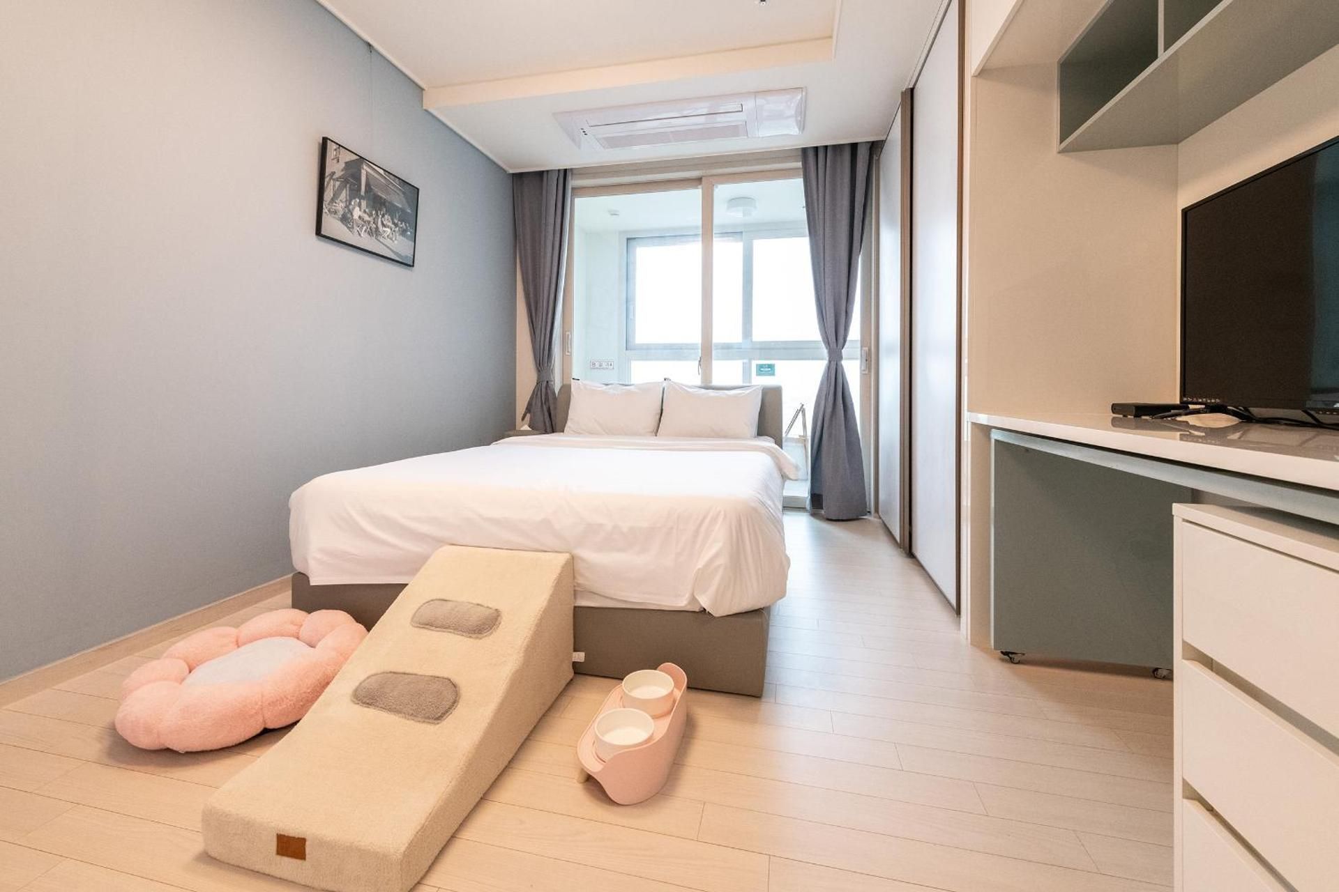 The November Stay In Landmark Studio Pet Room