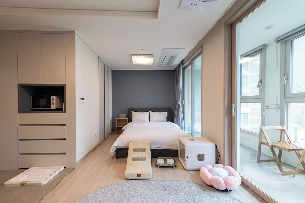 The November Stay In Landmark Pet Deluxe 4