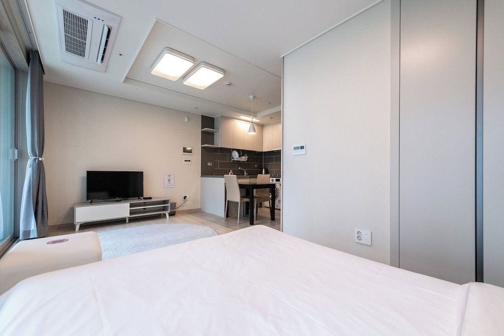 The November Stay In Landmark Pet Deluxe 6