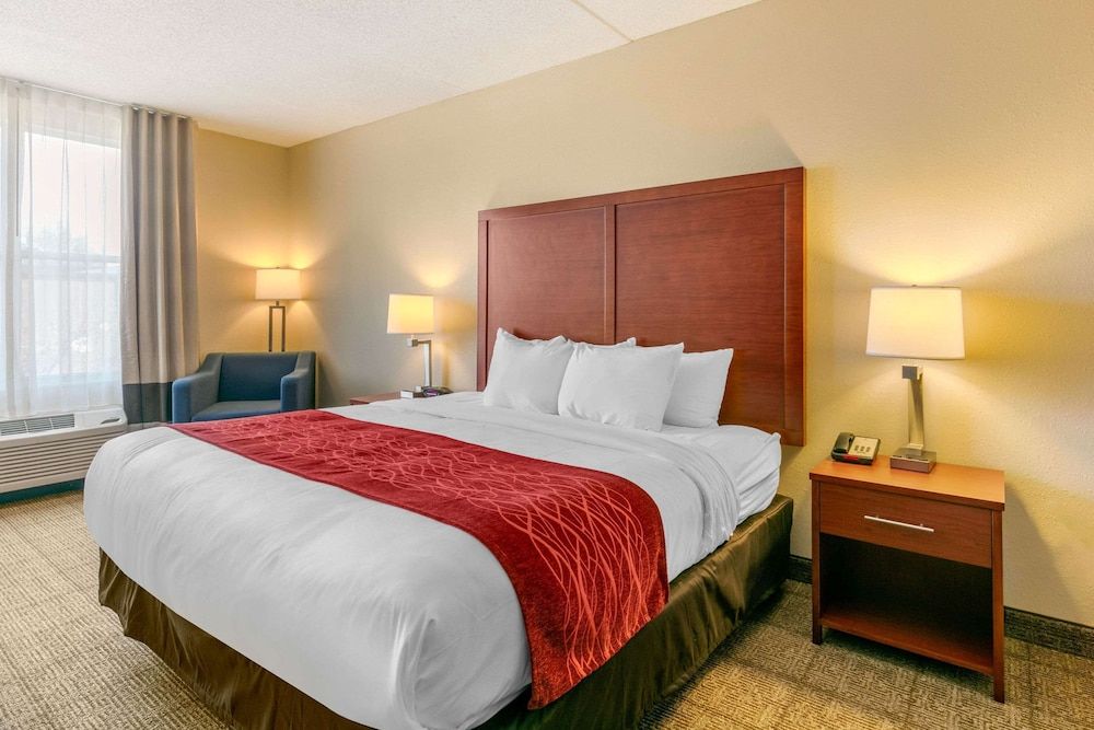 Suite, 1 King Bed with Sofa bed, Accessible, Non Smoking