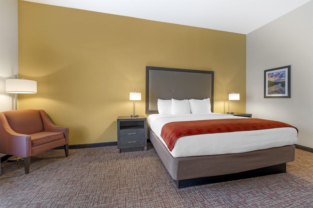 Standard Room, 1 King Bed, Non Smoking, Refrigerator