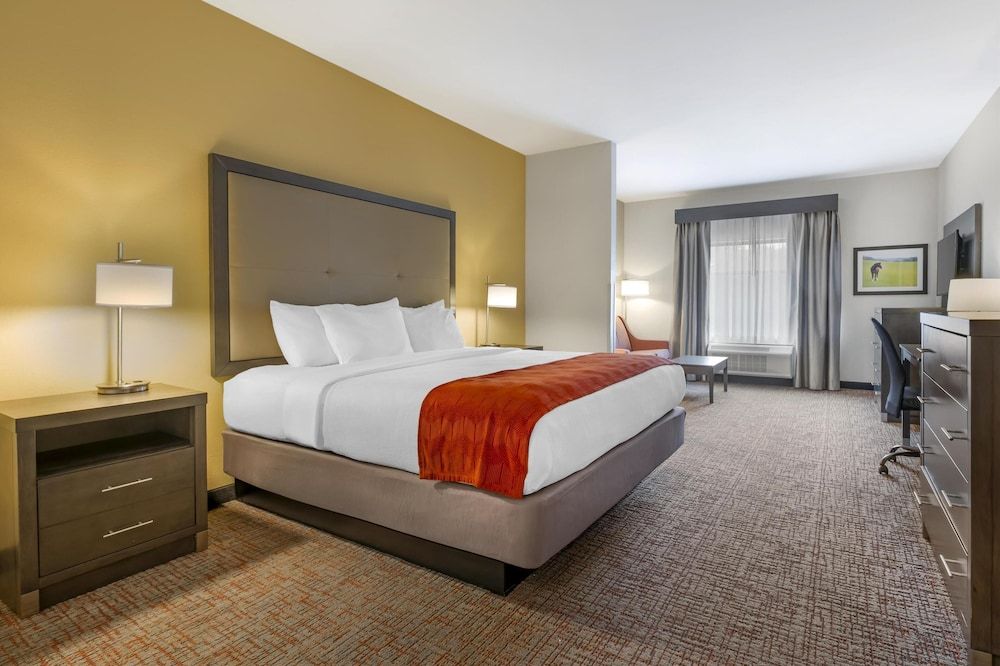 Suite, 1 King Bed, Non Smoking, Refrigerator & Microwave (with Single Sofabed)