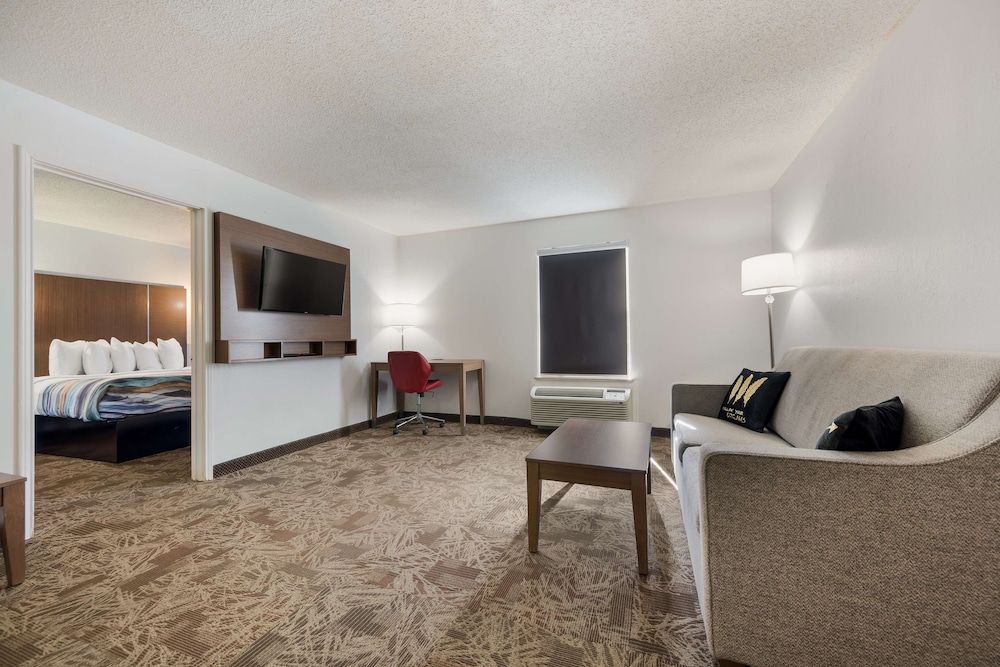 Suite, 1 King Bed, Non Smoking, Refrigerator & Microwave (with Sofabed)