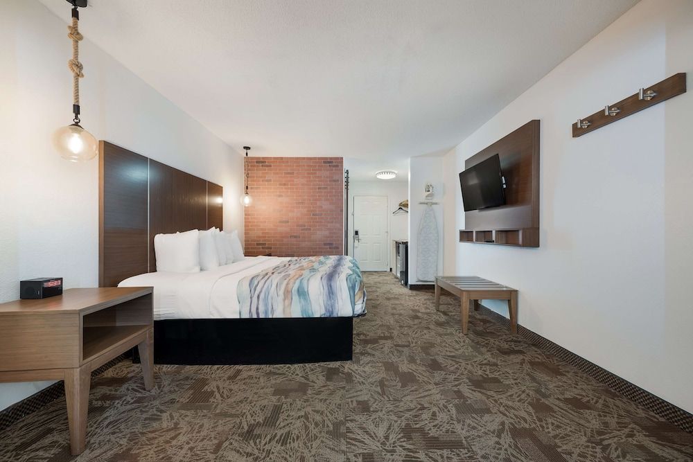 Standard Room, 1 King Bed, Non Smoking, Refrigerator & Microwave (with Sofabed)