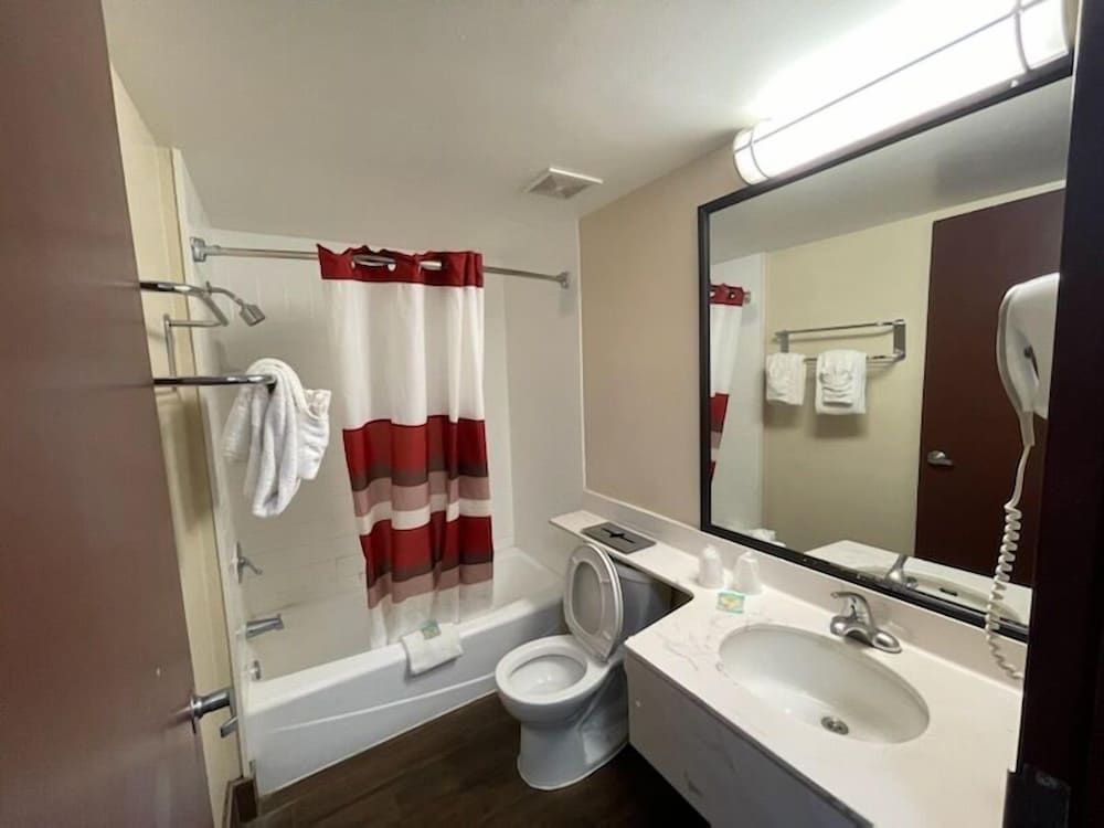 Tropical Palms Hotel Room, 1 King Bed 4