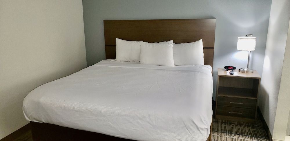 Room, 1 King Bed with Sofa bed, Non Smoking (Efficiency)