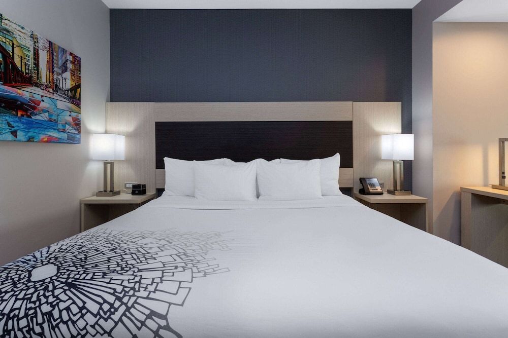 Studio Suite, 1 King Bed with Sofa bed, Non Smoking