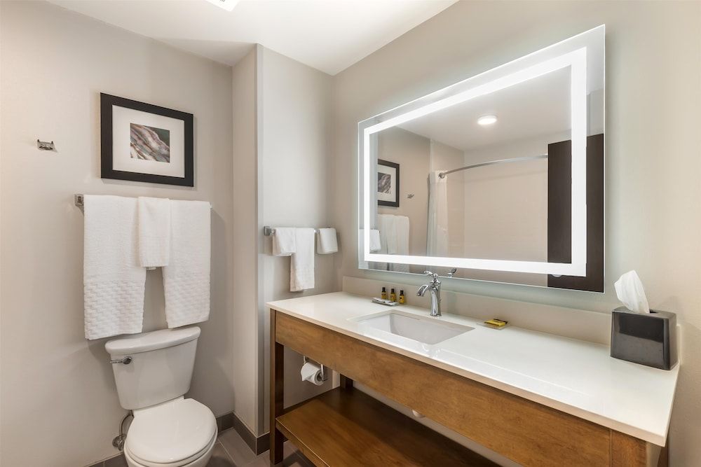 Best Western Plus Rapid City Rushmore Suite, 1 King Bed, Non Smoking, Microwave 4