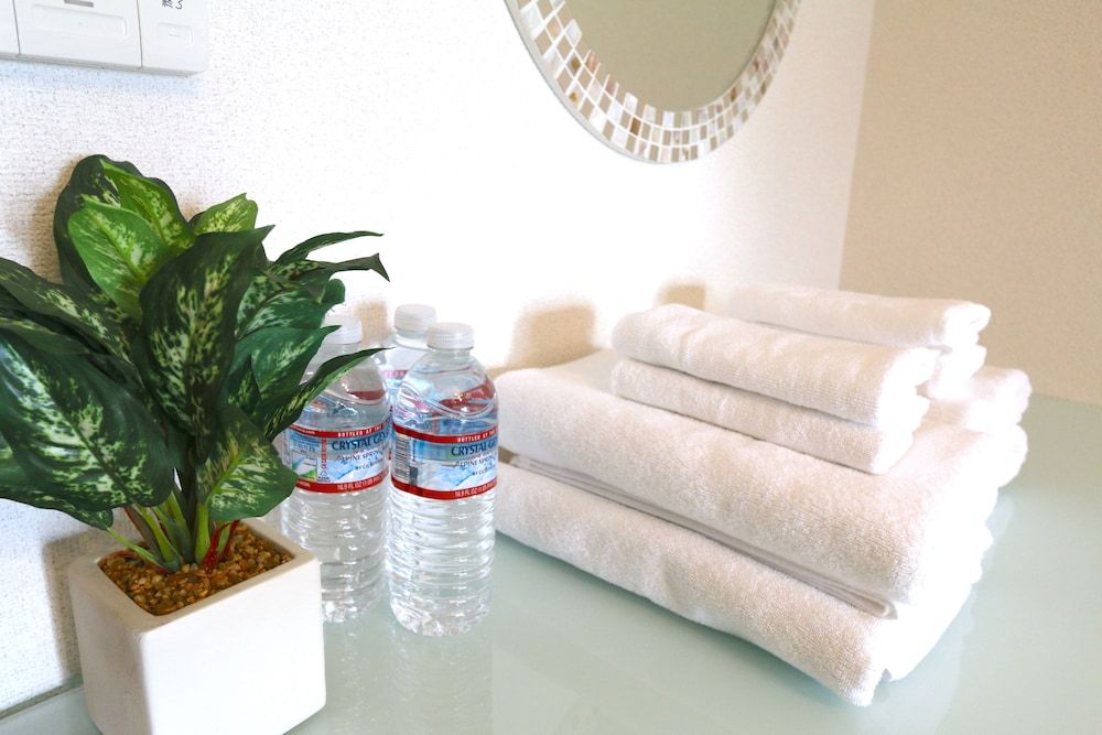 Elizabeth Garden Shinsaibashi Standard Double Room (SS73) 22