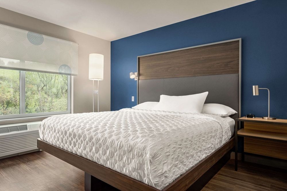Room, 1 King Bed