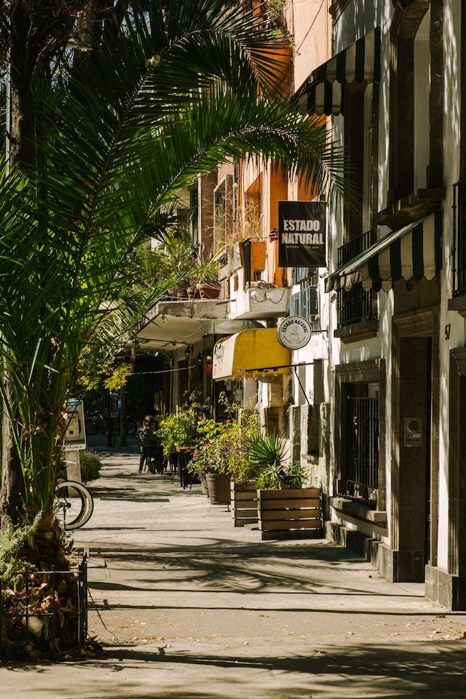 undefined Sonder Cóporo 4